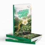 MANJIL VIRINJA POOKKAL|മഞ്ഞിൽ വിരിഞ്ഞ പൂക്കൾ
